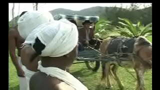 ���ປັນ Negras da senzala